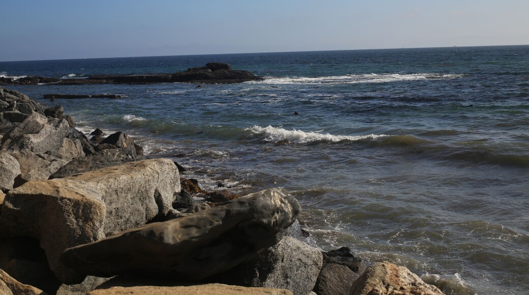 What makes us happy ? This makes me smile ! BIG !!!!
#VLCMOMENTS