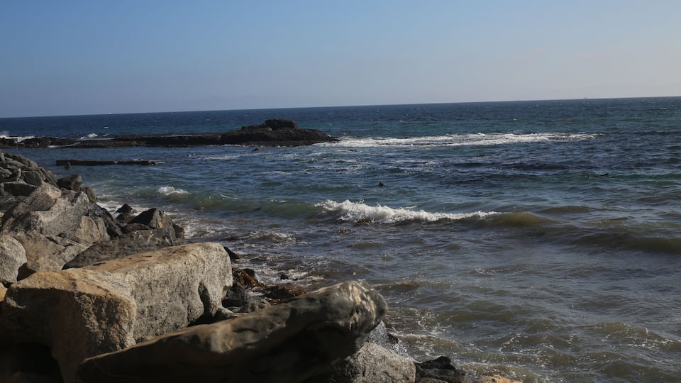 What makes us happy ? This makes me smile ! BIG !!!!
#VLCMOMENTS