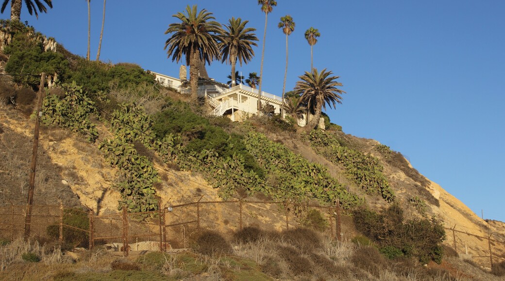 To Live on the edge can be a great thing right ?!
#edgecontrol #edgethought #gimmeedge