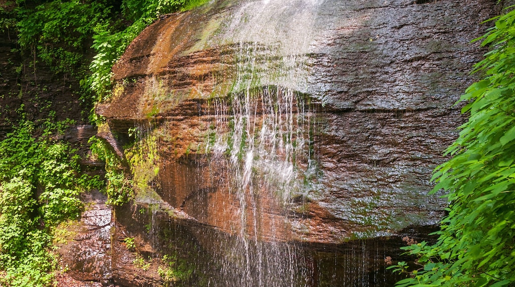 Buttermilk Falls State Park in New York State