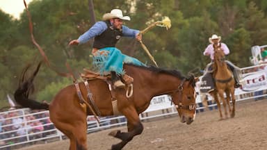 Un cowboy a cavallo in un’arena di rodeo.