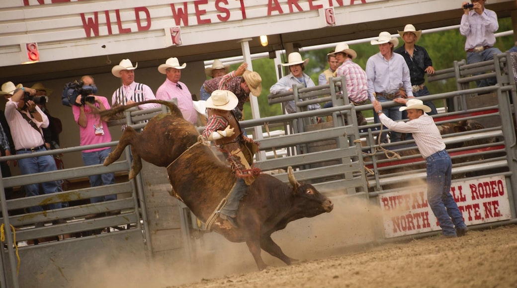 North Platte mostrando señalización y un evento deportivo y también un pequeño grupo de personas