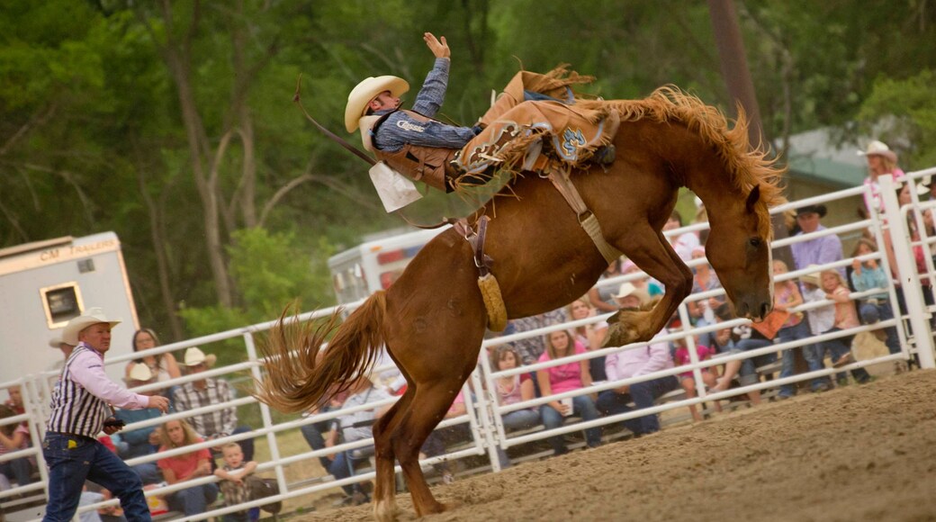 North Platte showing horse riding and a sporting event as well as a small group of people