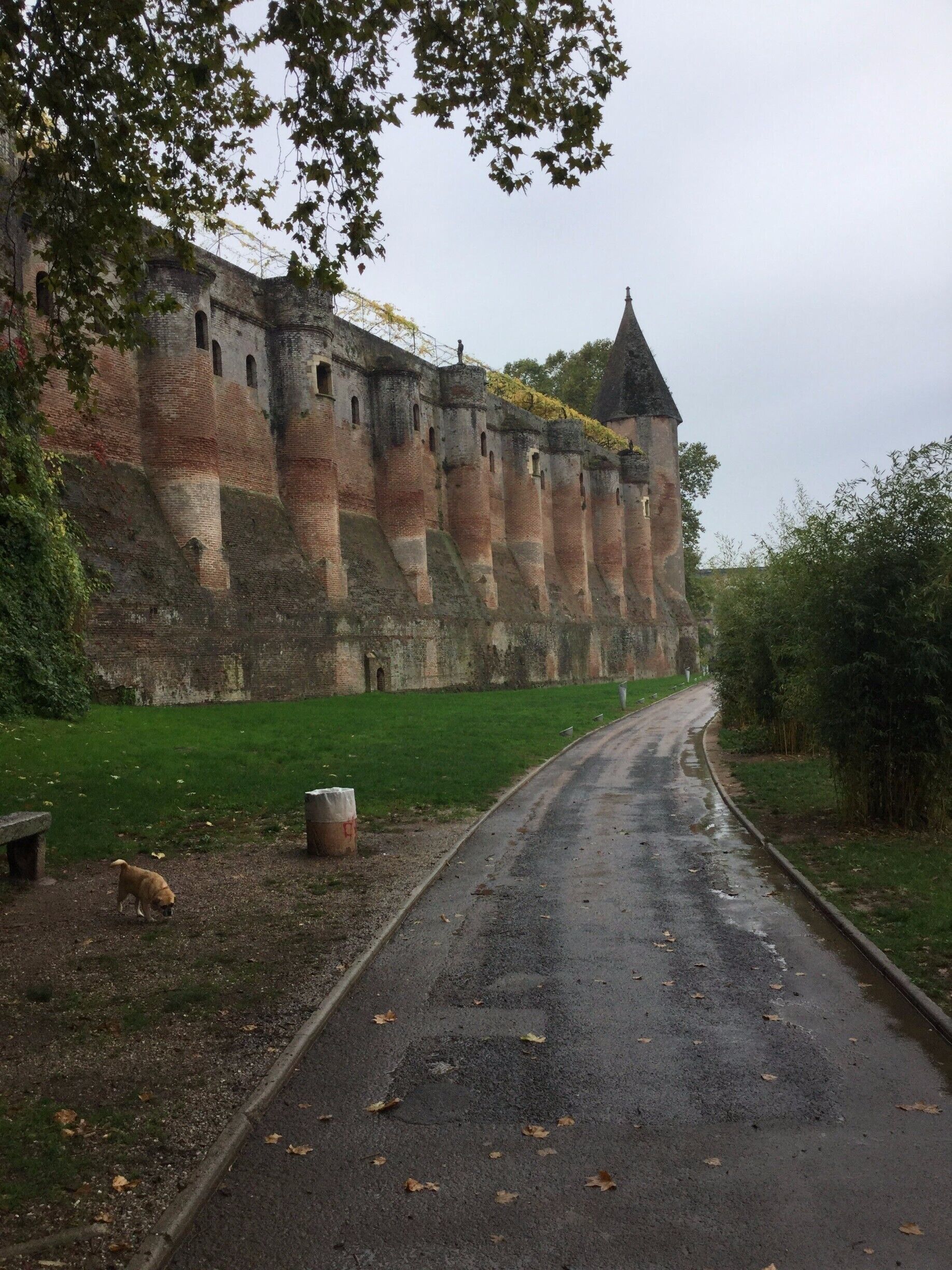 Albi is a commune in southern France. It is the prefecture of the Tarn department. It is located on the River Tarn, c. 85 km northeast of Toulouse. Its inhabitants are called Albigensians.