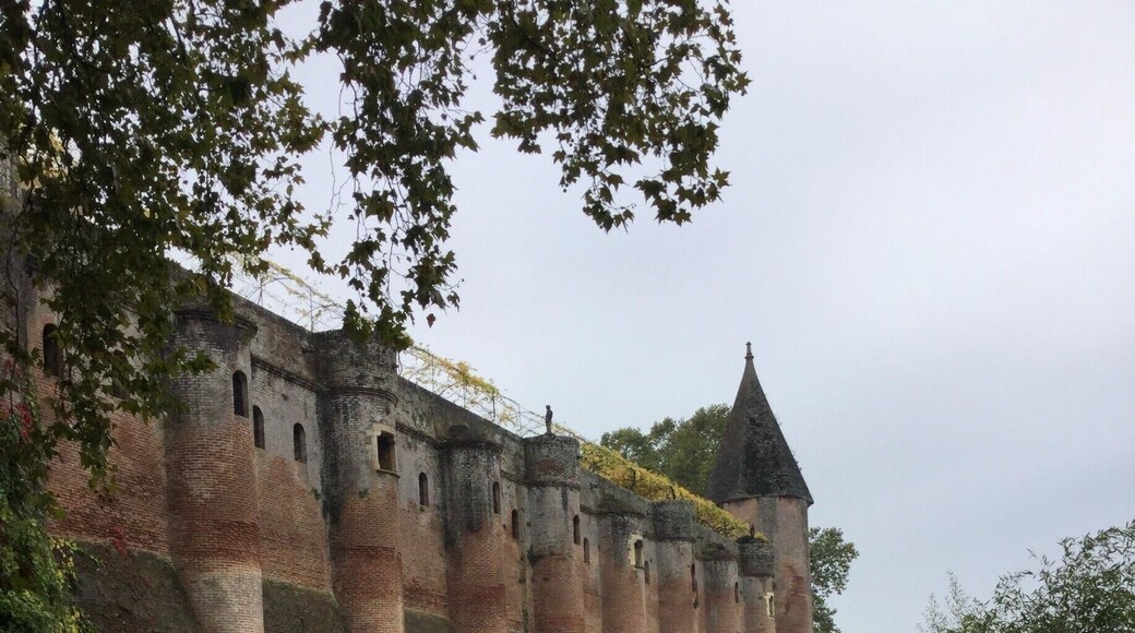 Albi is a commune in southern France. It is the prefecture of the Tarn department. It is located on the River Tarn, c. 85 km northeast of Toulouse. Its inhabitants are called Albigensians.