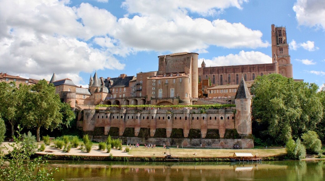 https://about-france.com/cities/albi-guide.htm
UNESCO-listed heritage .
To see absolutely.
The inside cathedral is gorgeous.
https://simple.m.wikipedia.org/wiki/Albi