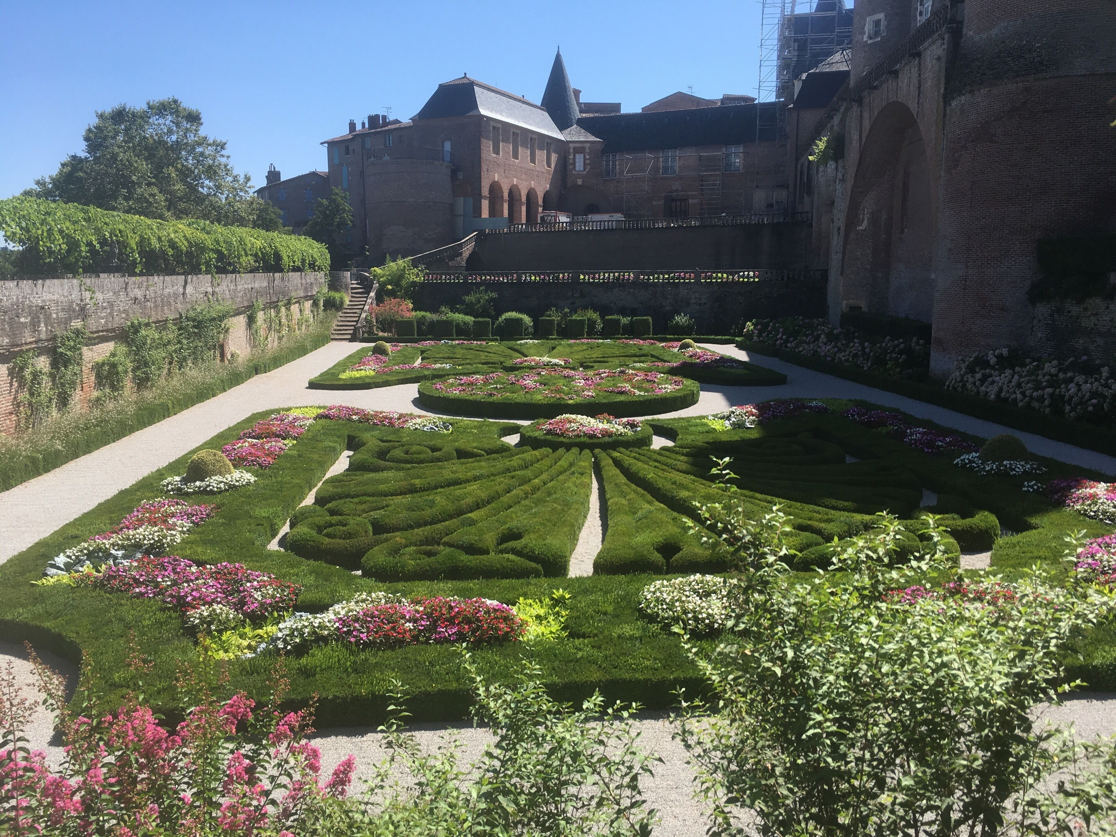 Beautiful garden with a huge grapevine 
#france 
#aveyron