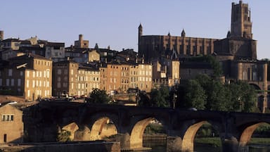 Albi mettant en vedette église ou cathédrale, ville et pont