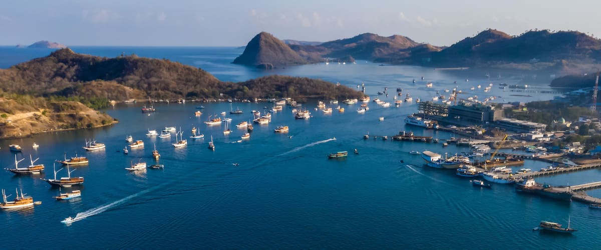 A coastal harbor with numerous boats, a large ship, and a cityscape with hills in the background.