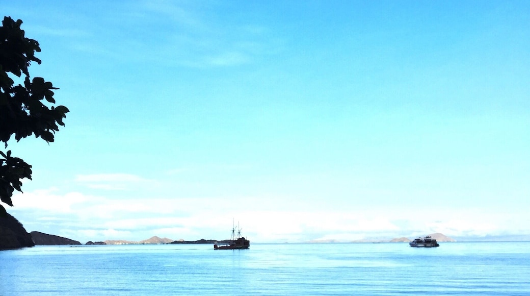 What a way to wake up! Found this heart-shaped flowers arrangement by the beach for the lucky guests who woke up early enough to see ❤️🌺