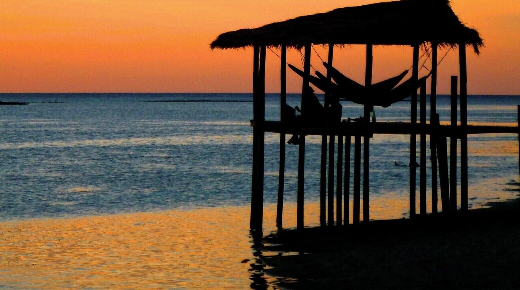Gorgeous sunset on Kanawa Island - an island a short boat ride from Labuanbajo, Flores, Indonesia.
Kanawa Beach Bungalows offers camping, bales (basic huts) and bungalows and is a great place for scuba diving, snorkelling and hanging in a hammock!
#indonesia #beach #goldenhour