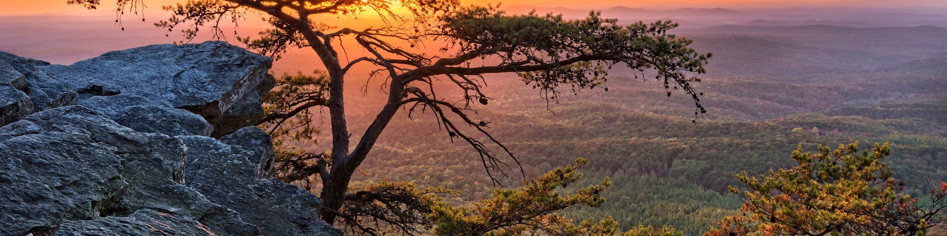 Un atardecer sobre un paisaje montañoso con un árbol destacado al frente.