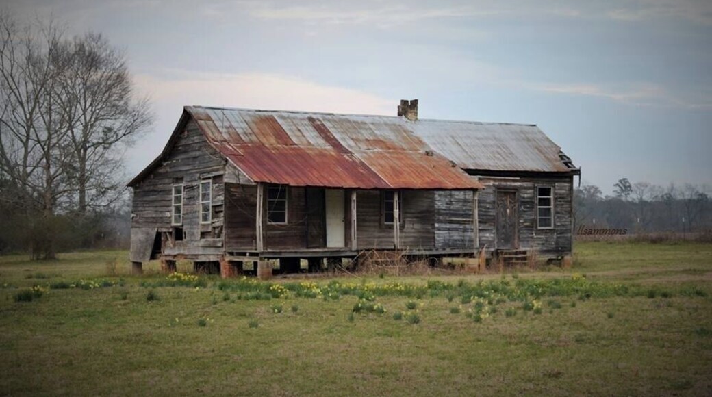 Old farmhouse near Perdue Hill, Alabama. #farmhouse #nature #field #trees
#abandoned #decay #neglect #lonely