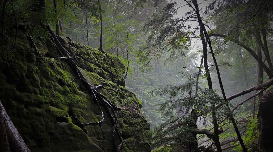 On the trail on 200 .Nice place to get away for the day.