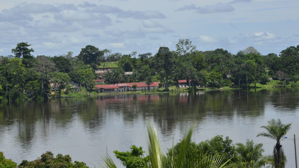 Vue sur l’hôpital Schweitzer