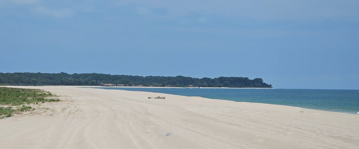 A sandy beach with a forested coastline and calm waters.