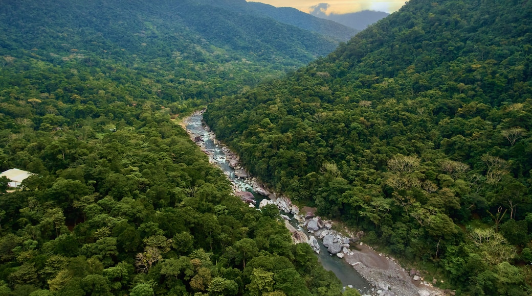 Río Cangrejal en La Ceiba, Honduras
