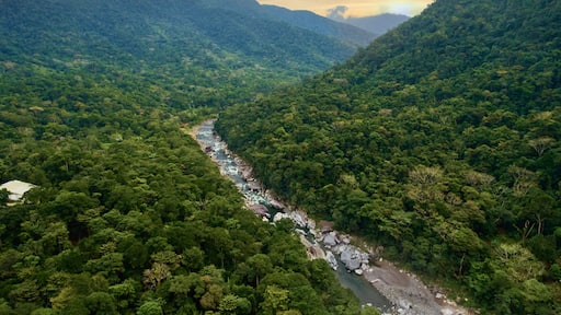 Río Cangrejal en La Ceiba, Honduras