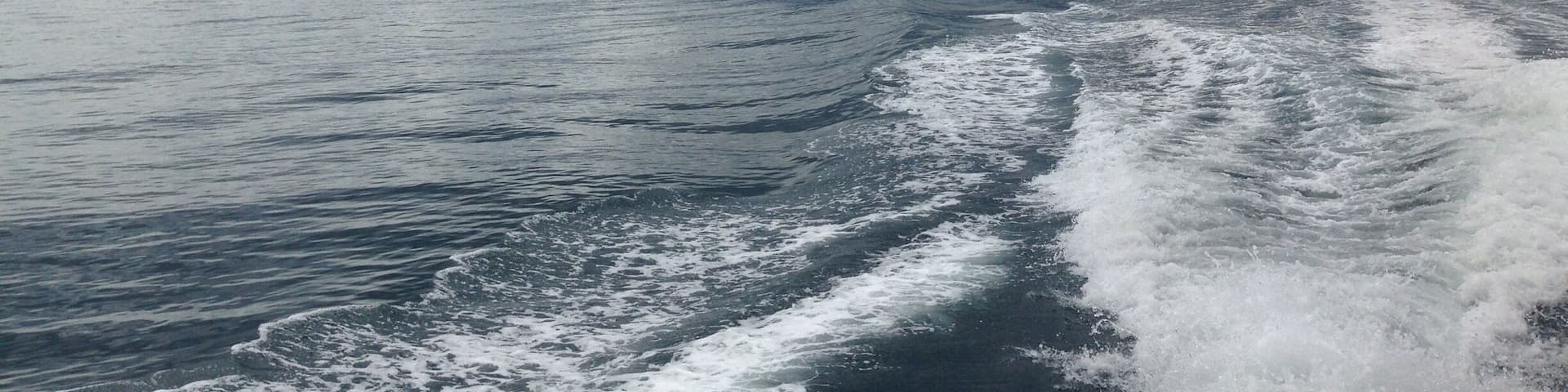 The majestic mountain view of the port city of La Ceiba, Honduras from the Utila island ferry. So many flying fish on the ride to the island!