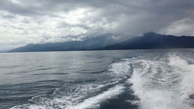 The majestic mountain view of the port city of La Ceiba, Honduras from the Utila island ferry. So many flying fish on the ride to the island!