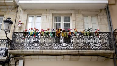 La Coruna which includes a house and flowers
