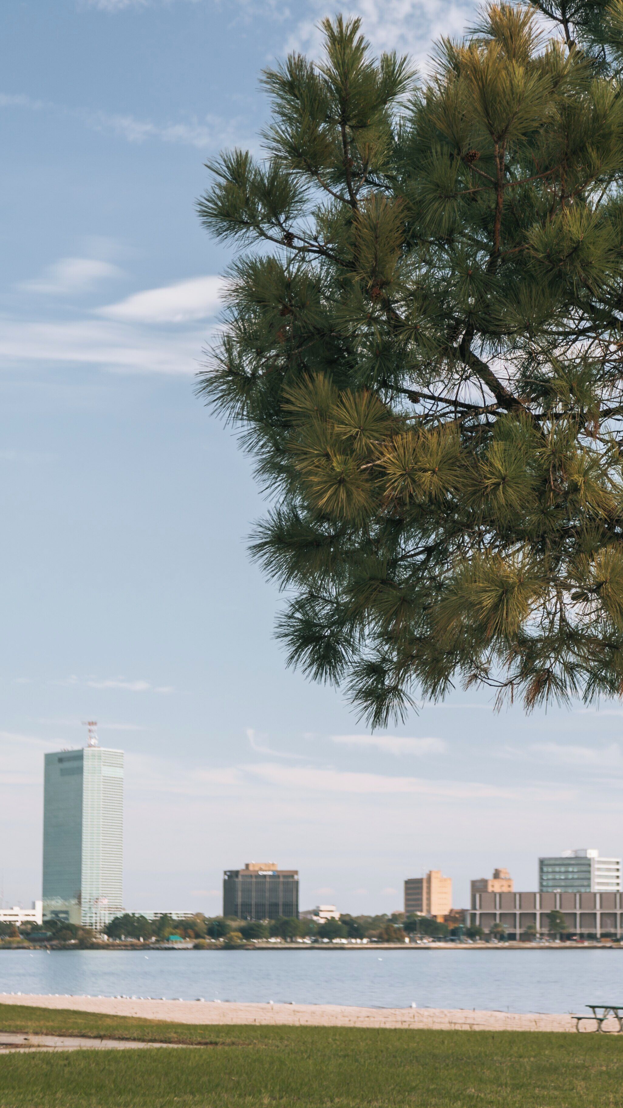 North Beach along Interstate 10 in Lake Charles, Louisiana showcasing a skyline view with greenery and water on a clear day