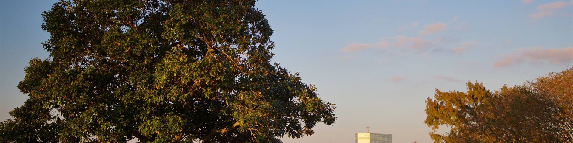 Lake Charles showing a lake or waterhole and a sunset