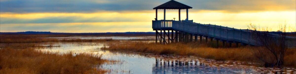 Lake Charles das einen Sumpfgebiet, Ansichten und Sonnenuntergang