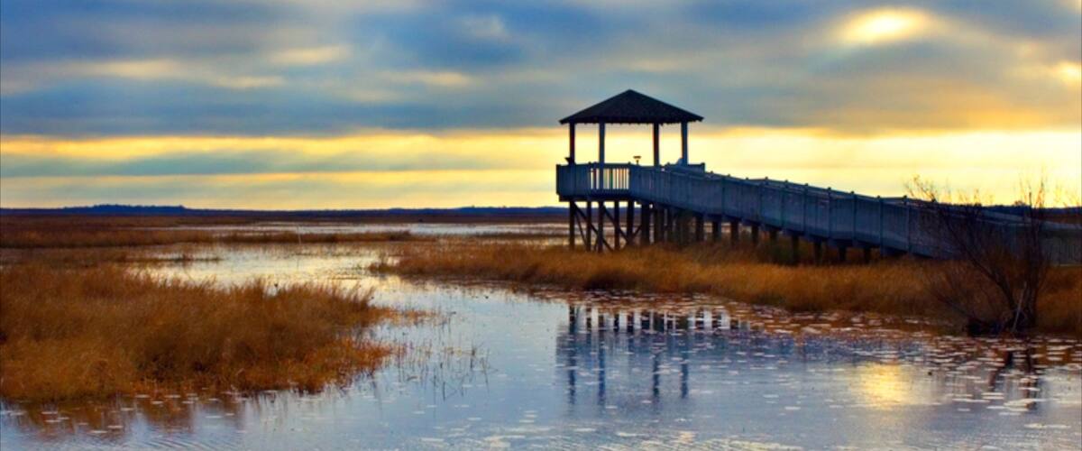 Lake Charles featuring views, a sunset and wetlands