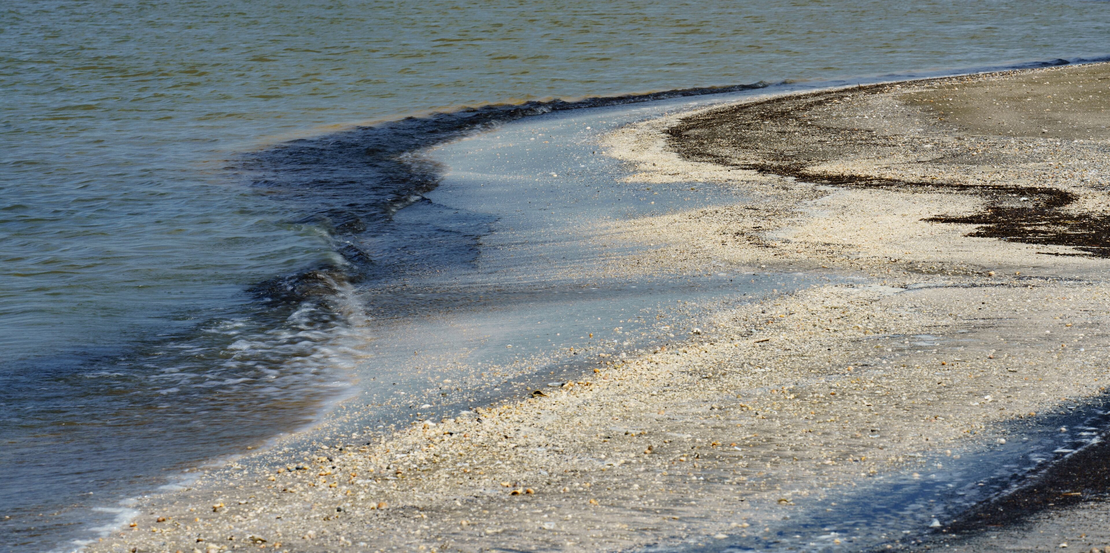 A beach with a curved shoreline and a mix of sand and water.