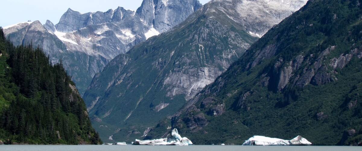 Just about to round the last bend of Shakes Slough before seeing the Glacier. Castle Mountain in the background and icebergs in the foreground.
We went with Alaska Waters out of Wrangell Alaska and they were fantastic. One the only boats with a bathroom!
The sites were stunning from the snow capped mountains, wild flowers, mountain goats, waterfalls and the Glacier.