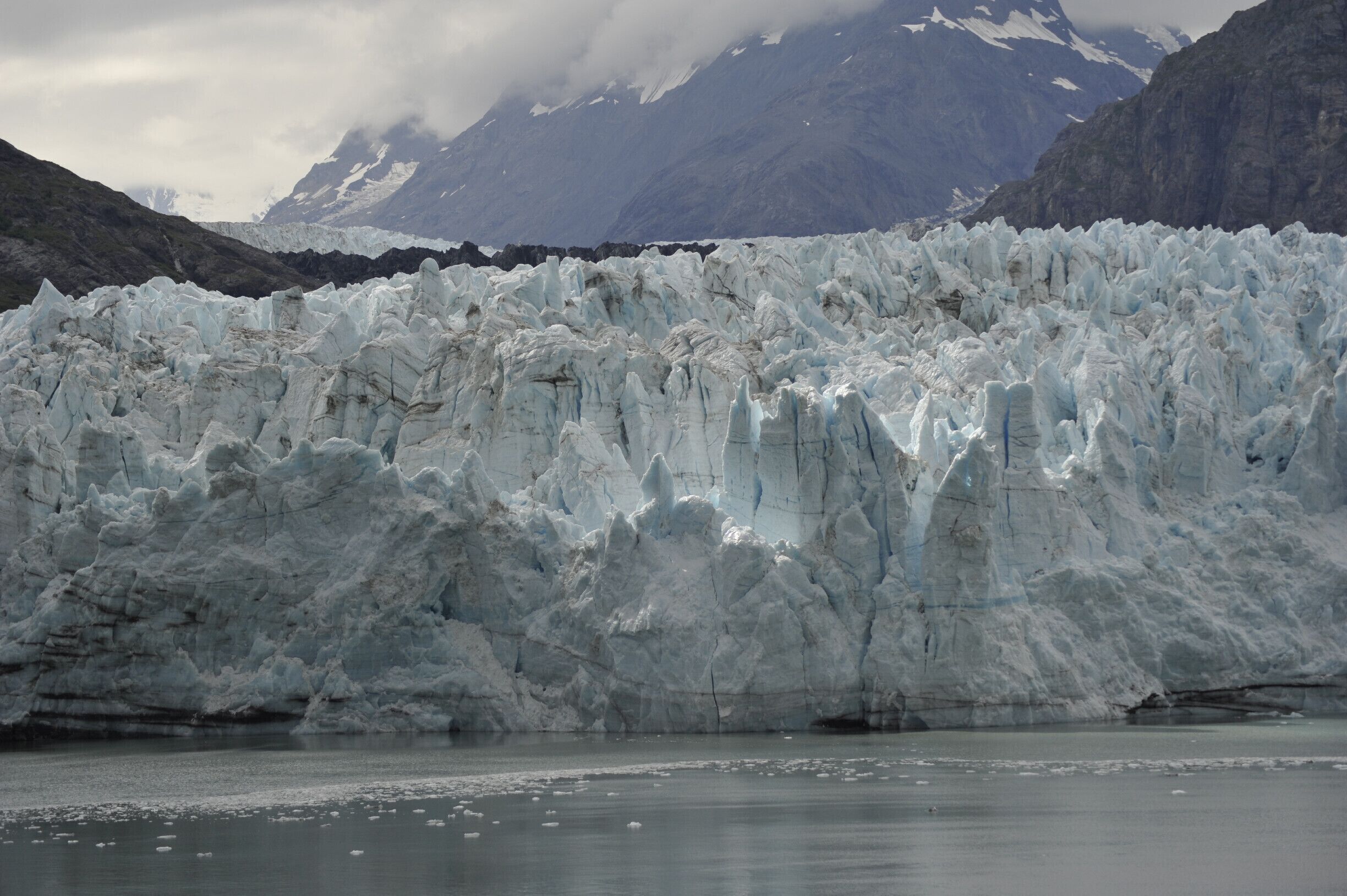 A quick tiny shaft of sunlight made a nice highlight on a very gray day.