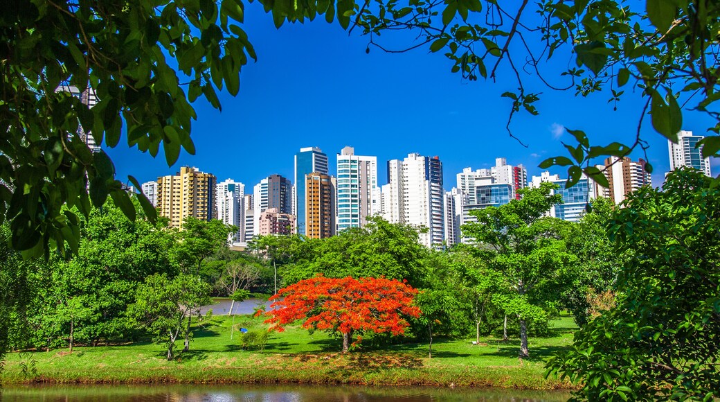 Buildings and architecture. Londrina city, Brazil.