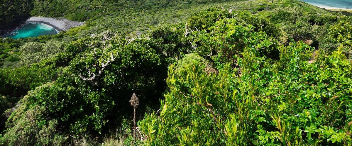 The Lady Buddha statue stands over 70 metres tall on the edge of the mountain on the Son Tra Peninsula in the grounds of the Chùa Linh Ứng - Bãi Bụt (Buddhist Temple).
She gazes with a compassionate and benevolent gaze across the ocean towards the city of Da Nang. Pilgrims and tourists alike climb the wide staircase up the cliff passing through a series of ornate gates to enter the temple complex.
The pilgrims pray for prosperity and wealth and tourists part with the same in the nearby gift shop. #blue #BVSBlue