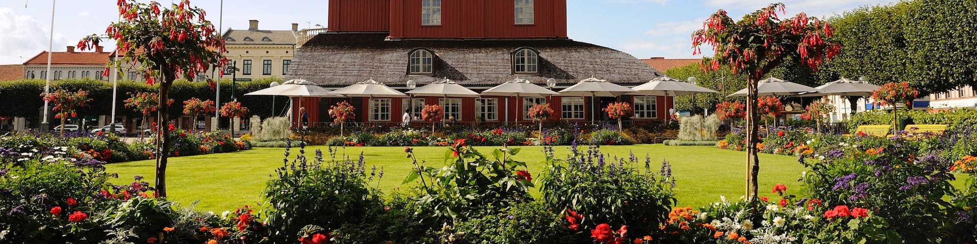 Lidköping showing a park