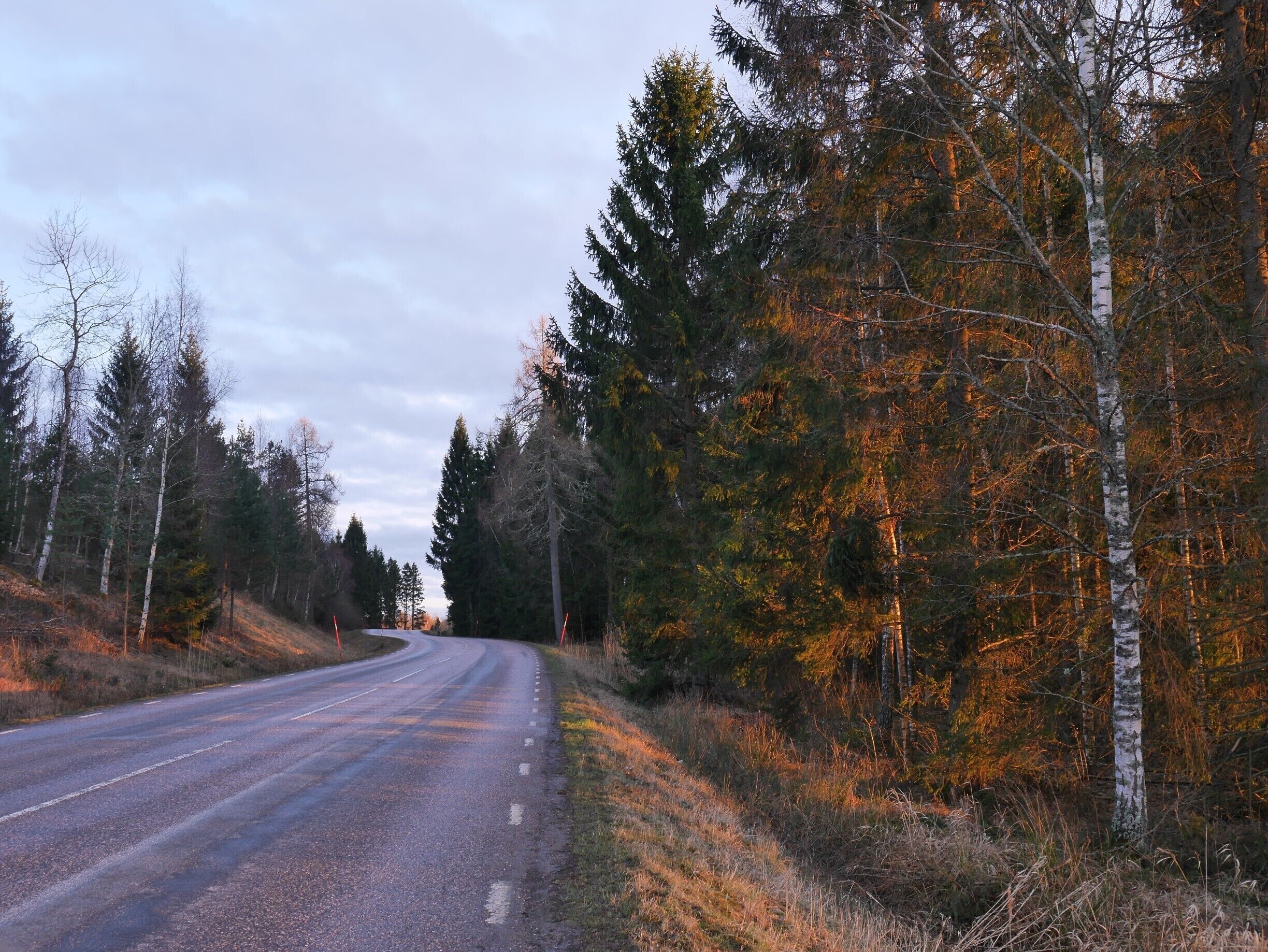 A road curving through a forest with autumn-colored trees.