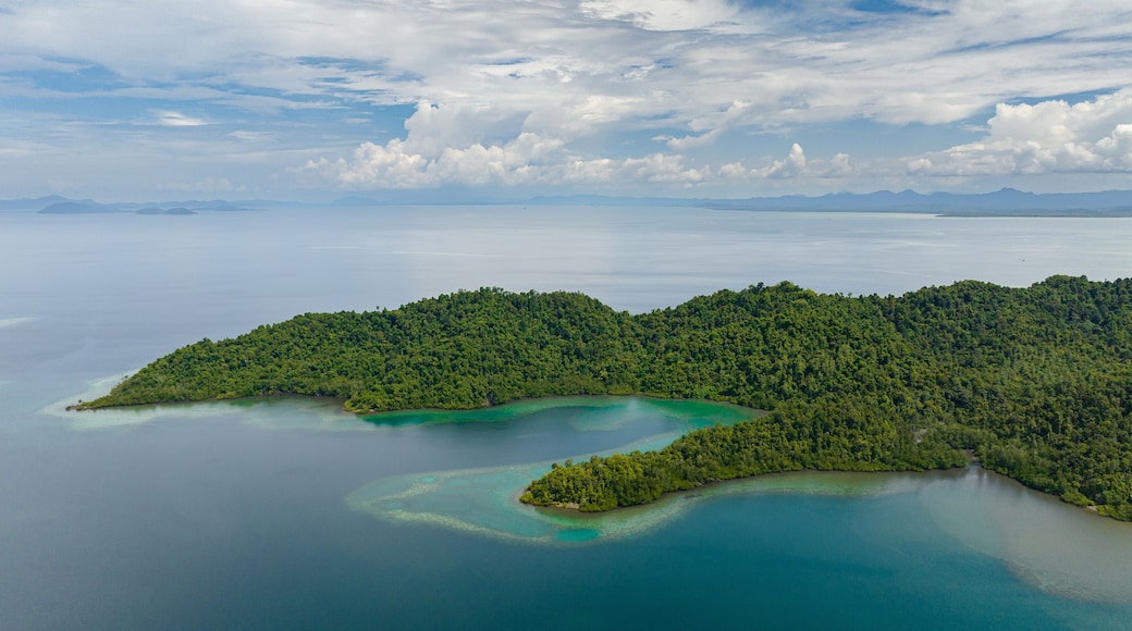 Aerial drone of tropical islands with lagoons. Seascape in the tropics. Borneo, Sabah, Malaysia.