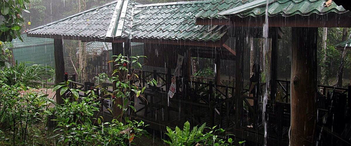 A traditional wooden structure with a green roof, surrounded by lush greenery and rain.