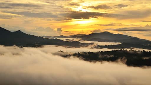 Sunrise over dipterocarp rain forest in Danum Valley Conservation Area in Lahad Datu, Sabah Borneo, Malaysia.