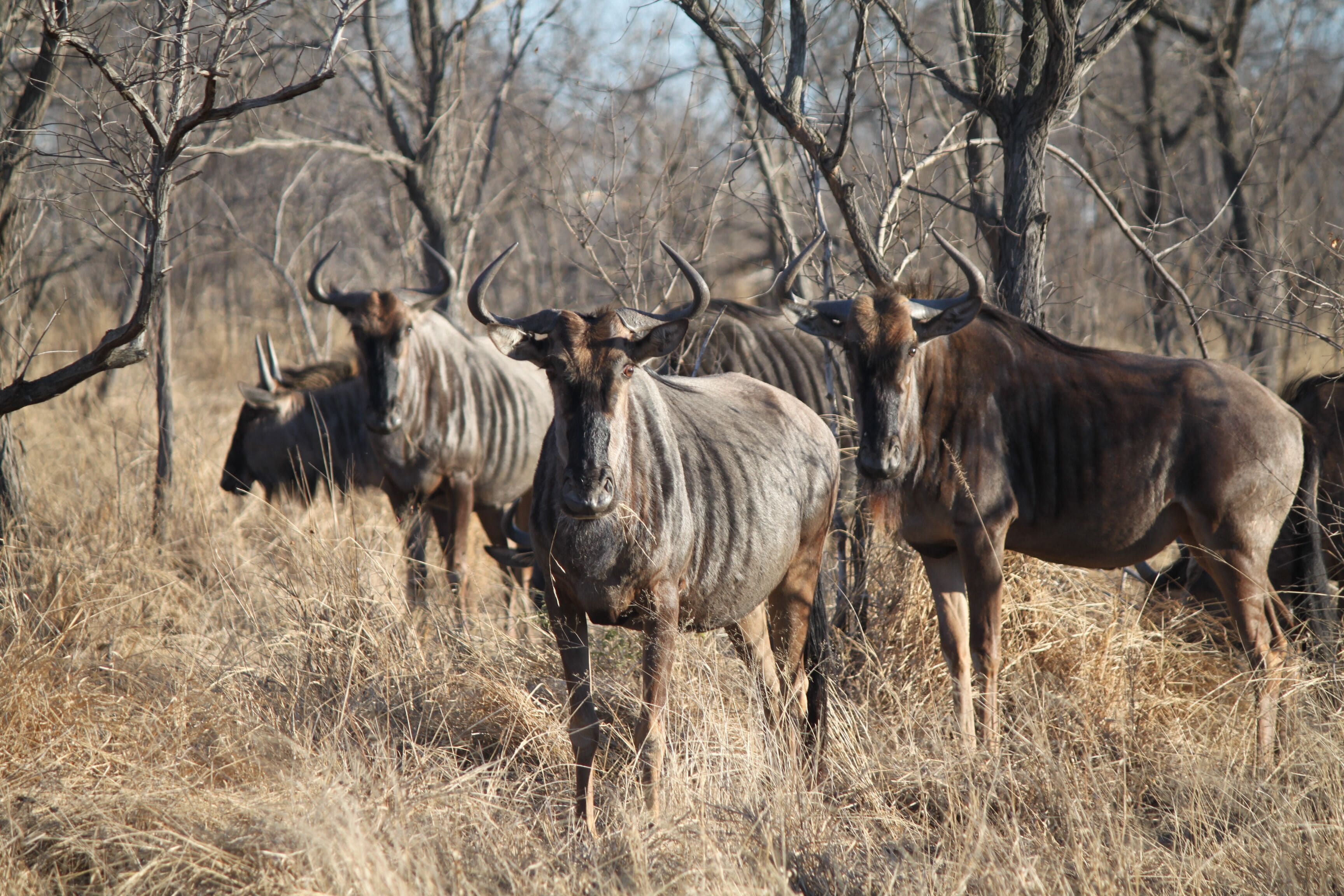 <h2>适合家庭的最佳住宿</h2>