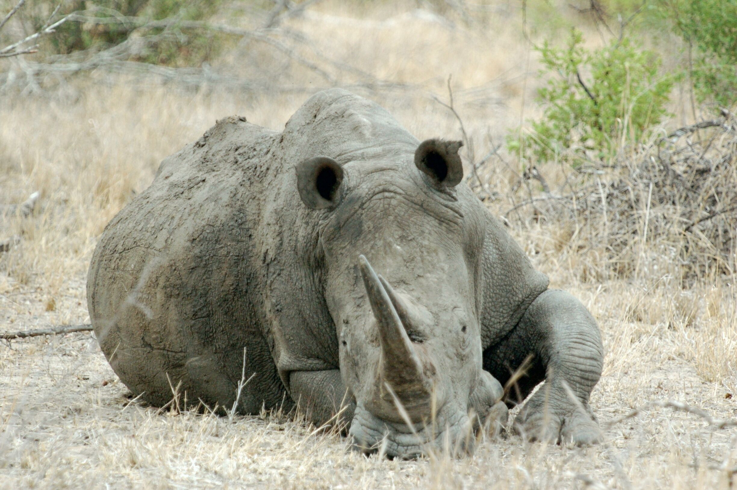 Now here's a chap not to be messed with!