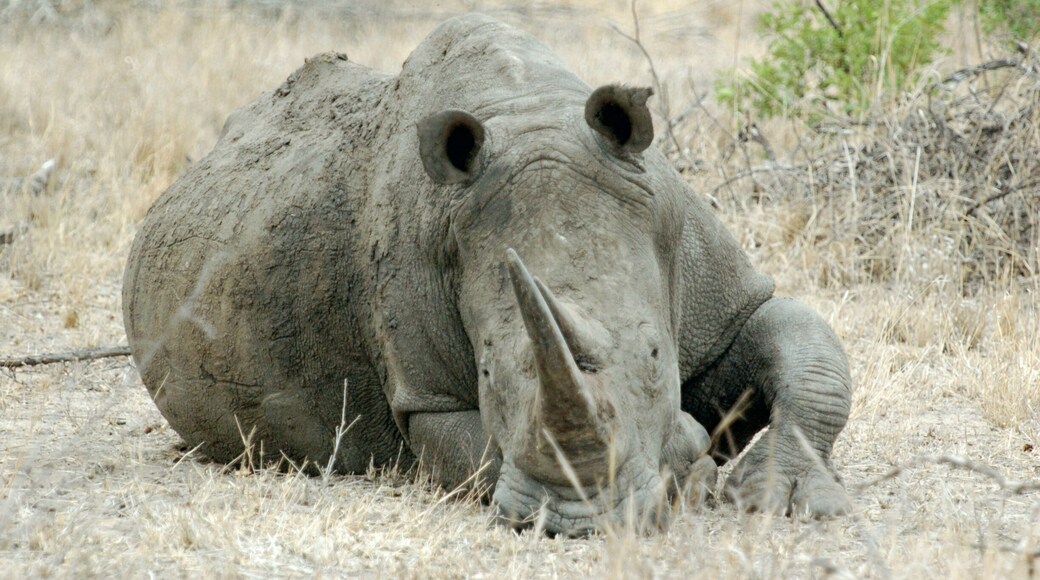 Now here's a chap not to be messed with!