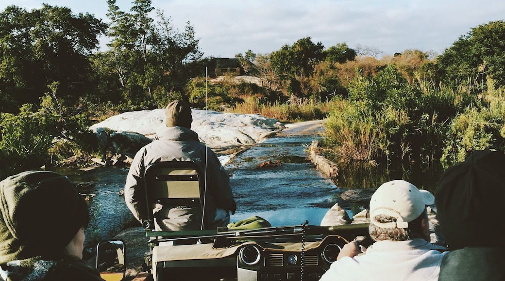 Our #safari view @gadinote