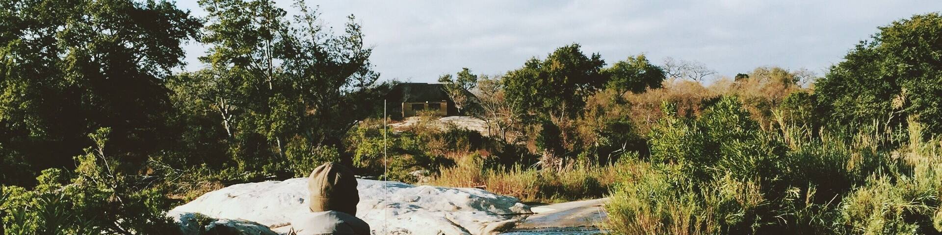 Our #safari view @gadinote