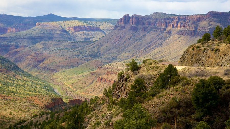 Central Arizona