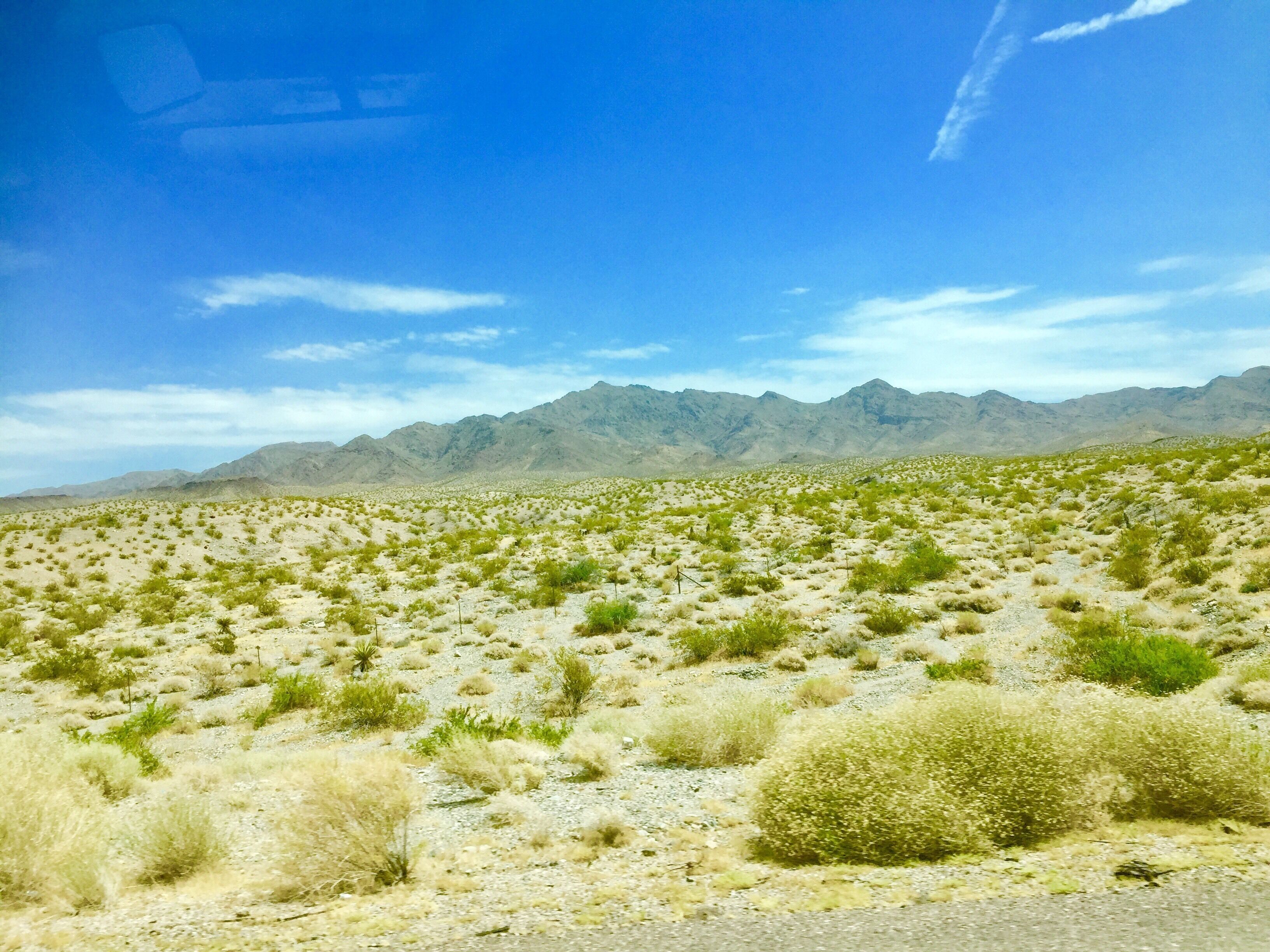 Driving across the Mojave - the road stretches straight ahead as far as the eye can see and the desert is endless.