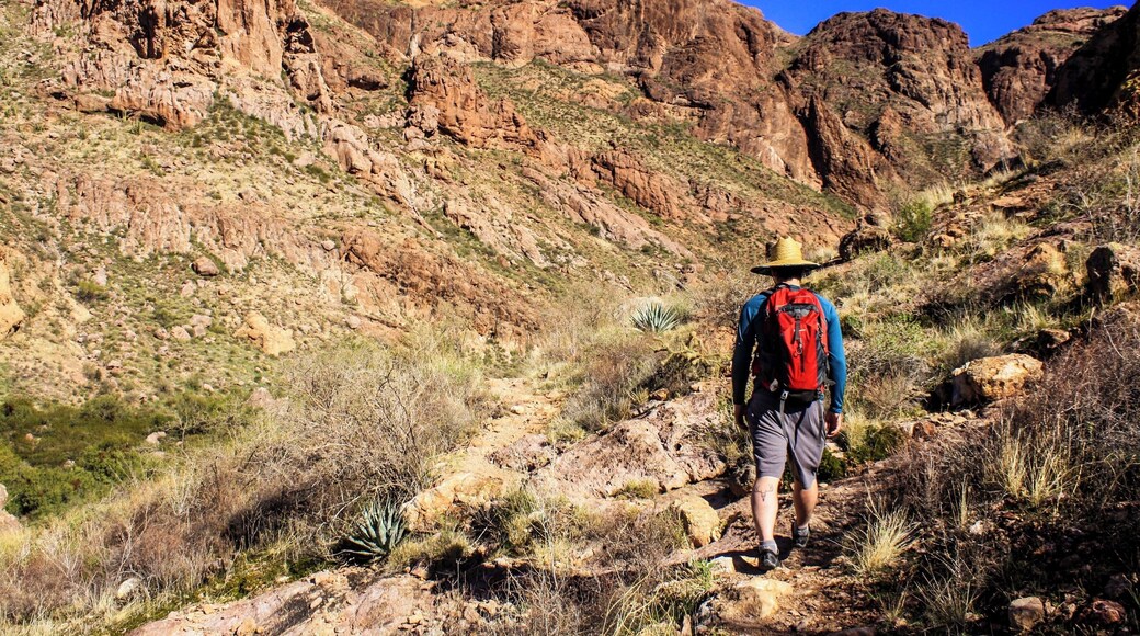 Organ Pipe NM never disappoints. #arizona #hiking #adventure #camping #greatoutdoors #nationalmonument