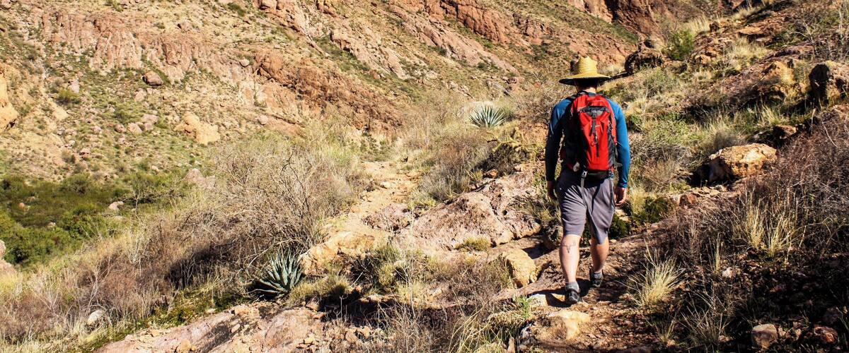 Organ Pipe NM never disappoints. #arizona #hiking #adventure #camping #greatoutdoors #nationalmonument
