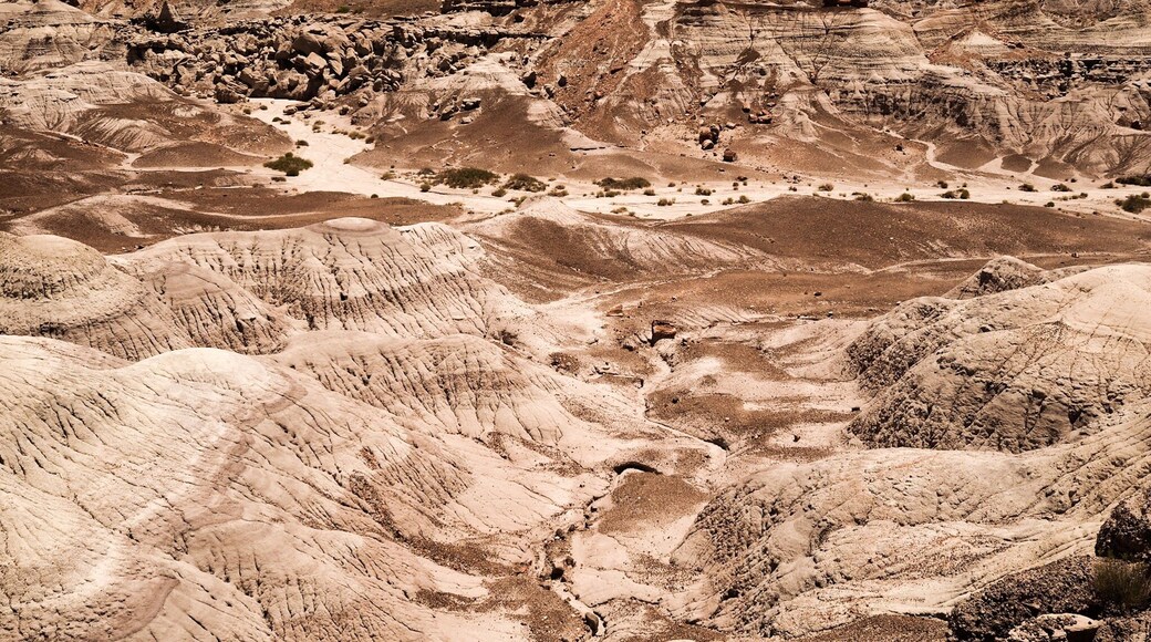 Desert views... #adventure