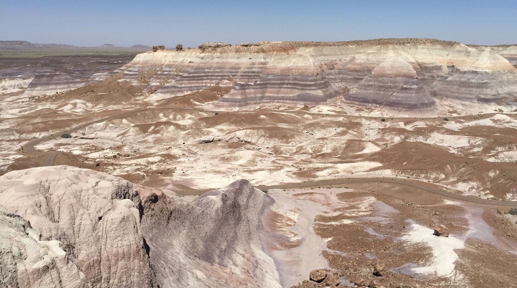 Go early. It gets hot.